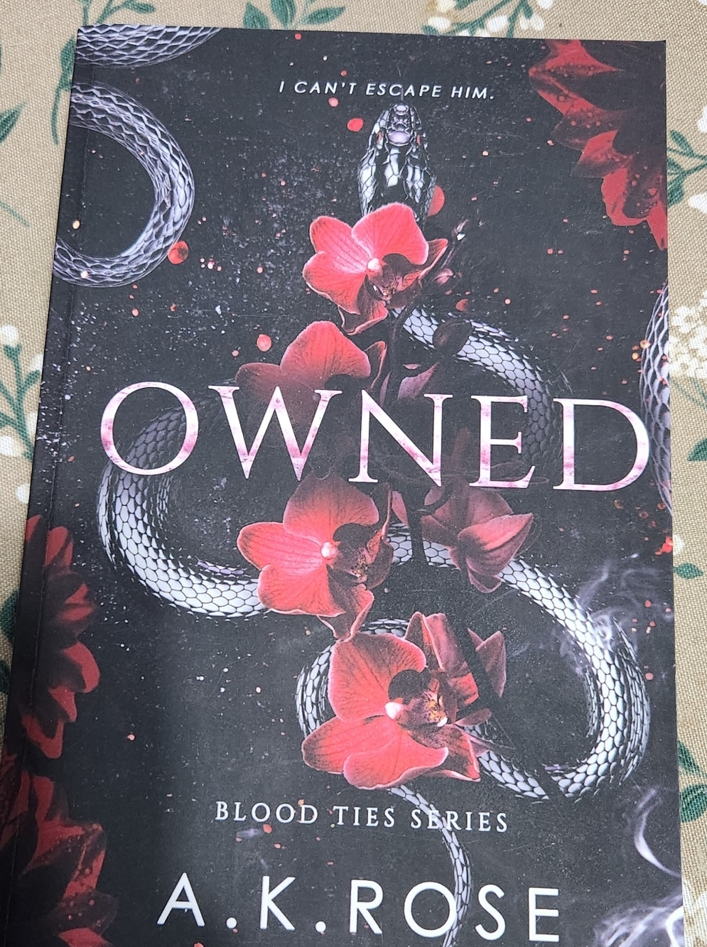 Owned/dark smut romance🥵🥵🥵